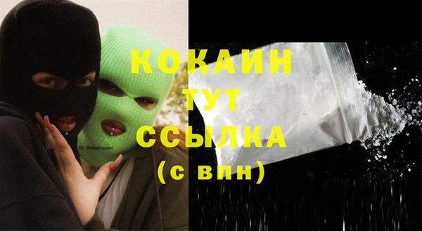 шишки Арсеньев