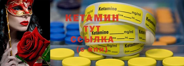 шишки Арсеньев