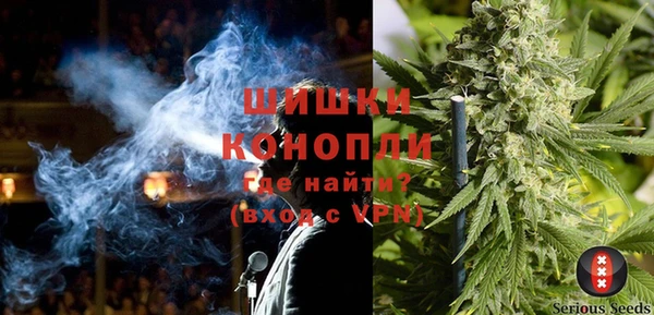 шишки Арсеньев