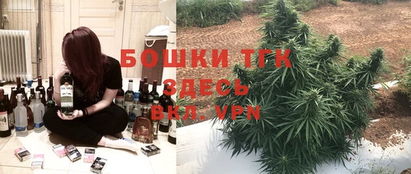 шишки Арсеньев
