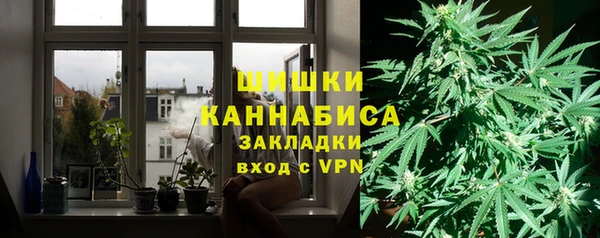 молекула духа Сафоново