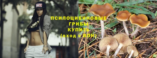 шишки Арсеньев