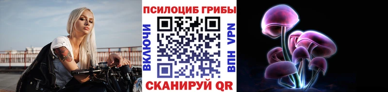 где продают   гидра зеркало  Галлюциногенные грибы Psilocybe  Гудермес 