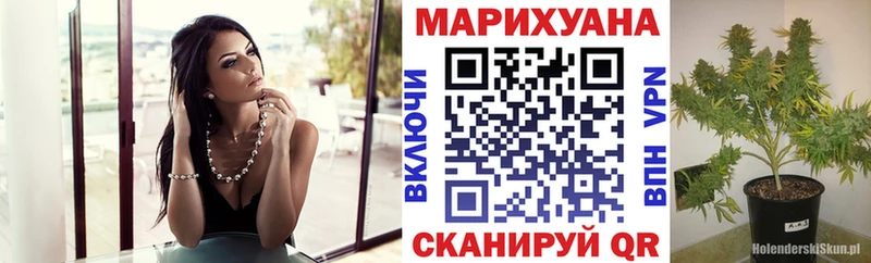 Шишки марихуана OG Kush  omg онион  Гудермес 